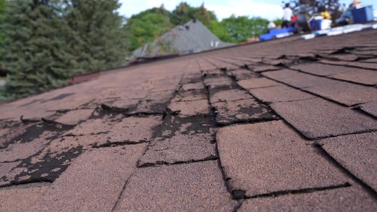 Best Skylight Installation and Repair  in Reidville, SC